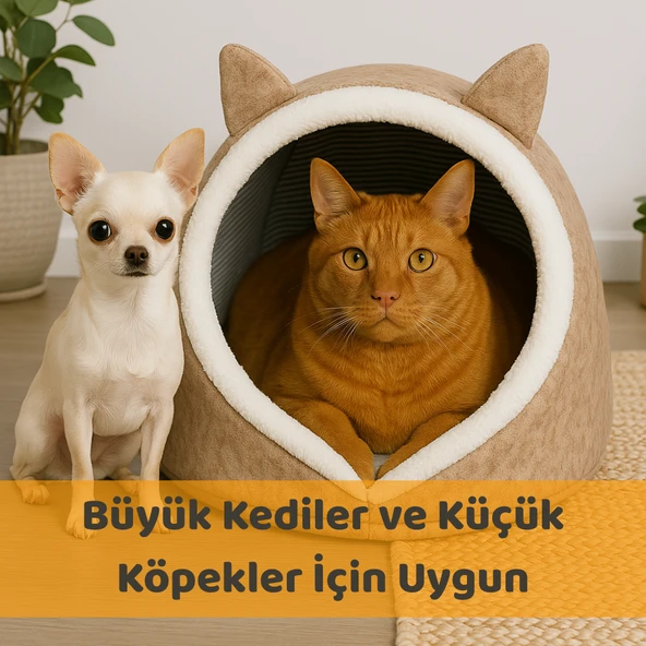 Kedi Evi Köpek Evi Evcil Hayvan Yatağı 40x35x34 Cm Katlanabilir Keçe Yuva Krem - 3