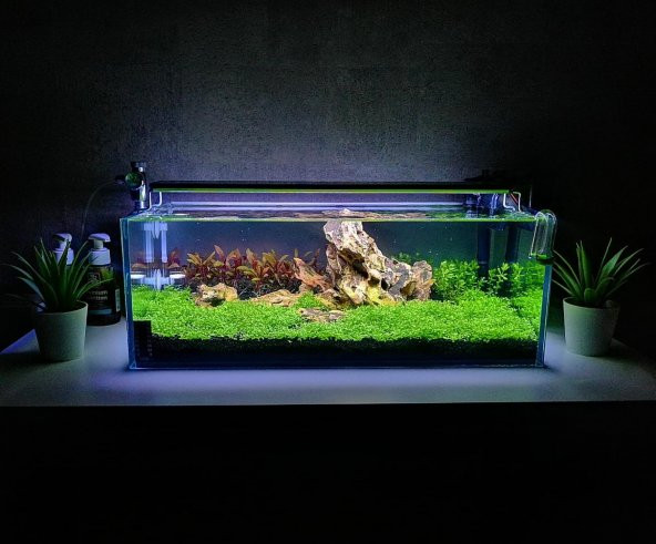 AquaPlant Spectrum 30Cm Armatür 4 Renk Özel Akvaryum Aydınlatma