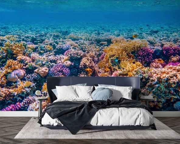 Akvaryum Mercan Manzaralı Duvar Kağıdı - Resim 2