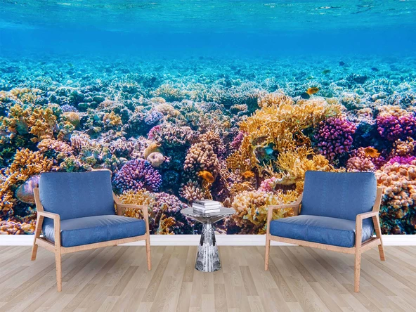 Akvaryum Mercan Manzaralı Duvar Kağıdı - Resim 6