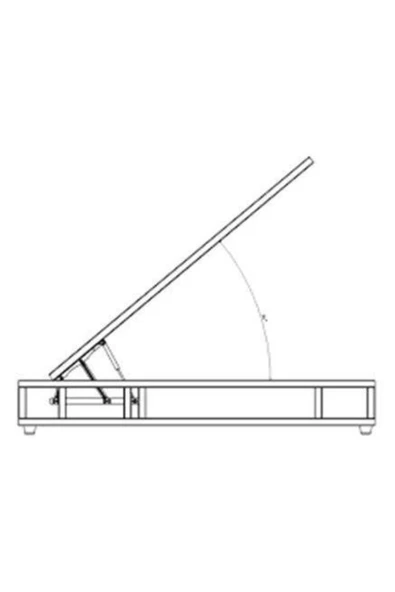 Lider Baza Amortisörü Ultikar Marka 750n ,2 Adet Baza Pistonu - 4