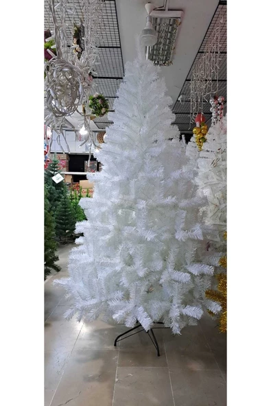 Winterfest Beyaz 210 Cm 900 Dal Özel Yapım Yılbaşı Ağacı Gerçek Görsel