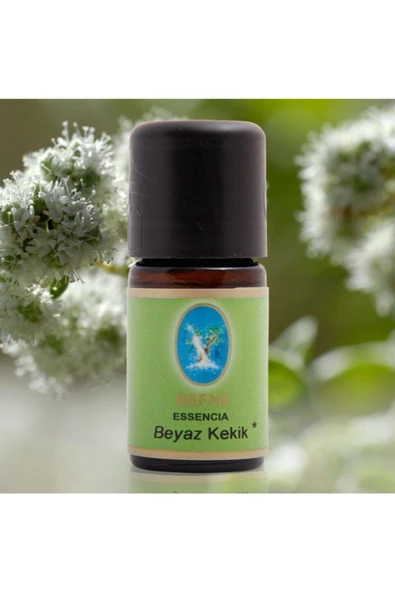 NUKA Defne Organik Okaliptüs Ingiliz Nanesi Beyaz Kekik Yağı 10 Ml 3 'lü Paket Aromaterapi - Resim 4