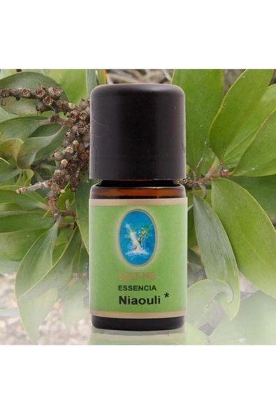 NUKA Niaouli 10 ml (ORGANİK DAMITMA) Cilt Bakım Ve Masaj Yağı
