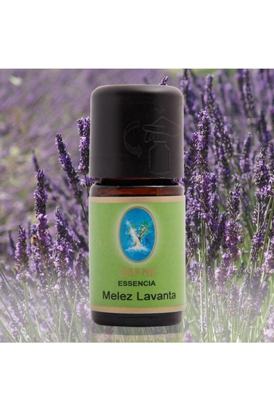 NU-KA DEFNE ESSENCIA Nuka Defne Essencia Geleneksel Melez Lavanta 5 ml Uçucu Yağ Aromaterapi Cilt Ve Bakım Yağı 5ml ürün görseli 1