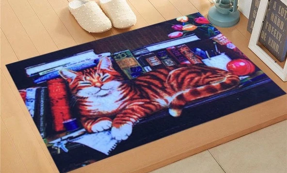 giz trendy kapı paspası 45*75 KİTAPLIKTA KEDİ
