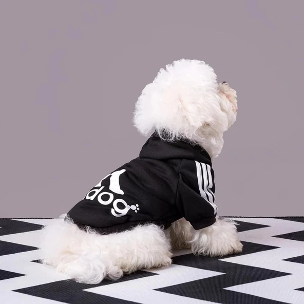 Black Adidog Kapşonlu Sweatshirt Köpek Kazağı - 2