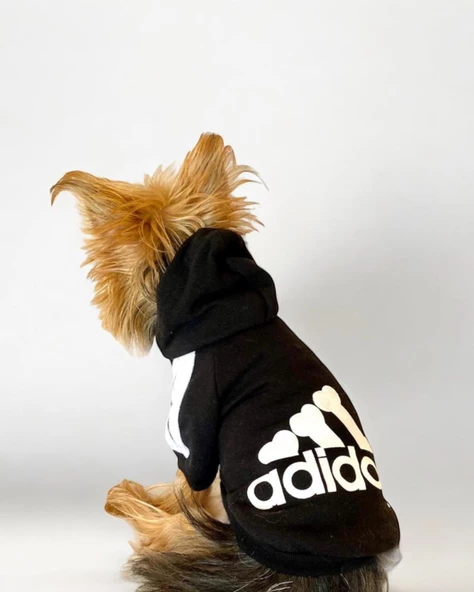 Black Adidog Kapşonlu Sweatshirt Köpek Kazağı - 6