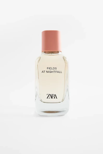 ZARA FIELDS AT NIGHTFALL EDP 100 ML - 4