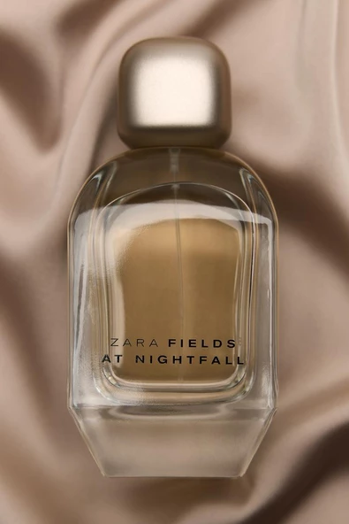 ZARA FIELDS AT NIGHTFALL EDP 100 ML - 3