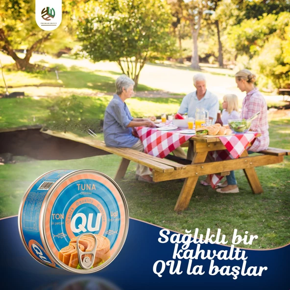 QU Sade Ton Balığı 3X160 gr - 3