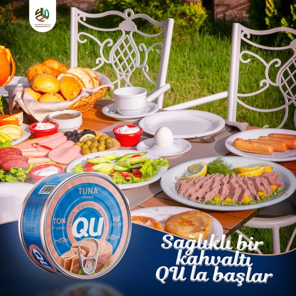 QU Sade  Ton Balığı 24x160 Gr - 2