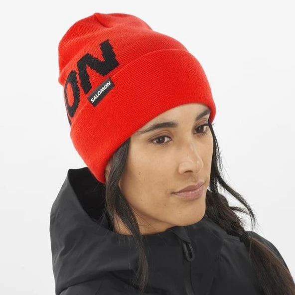 Salomon Hermitage Beanie Unisex Bere