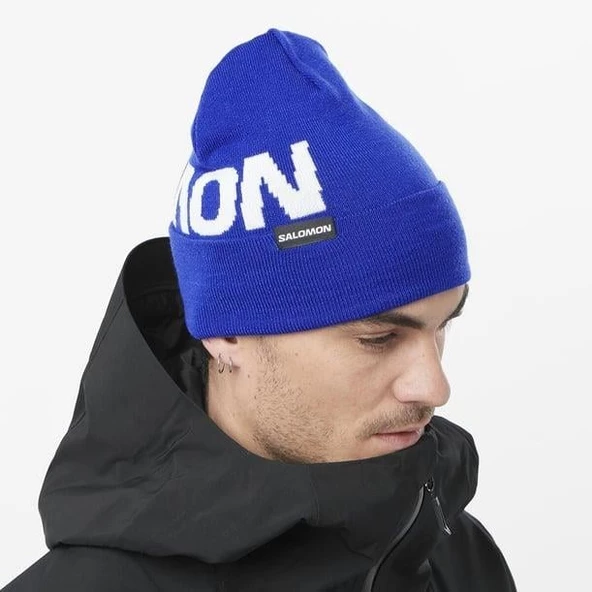 Salomon Hermitage Beanie Unisex Bere