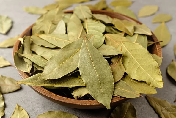 Defne Yaprağı 100 gr ORGANİK ( Yeni Mahsül, Doğal Kurutulmuş, Elenmiş )