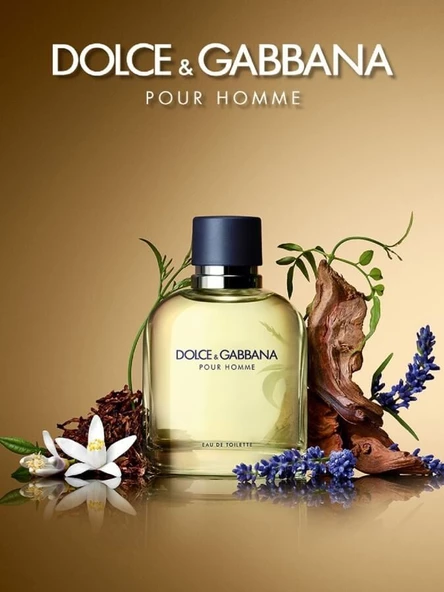 Dolce & Gabbana Dolce & Gabbana Pour Homme EDT Erkek Parfüm 75ml - Resim 3