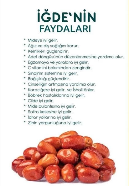 İğde Meyvesi 1 KG - 2