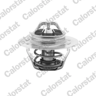 TERMOSTAT R11-FLASH-R9-R19 DZL-LGN 93-01 -KNG-DUCATO-P106-P30P405-XANTIA TH1417.89/TH6148.89/V2172