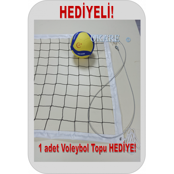 Okare Spor Profesyonel Voleybol Filesi