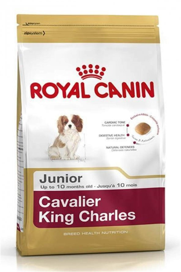 Cavalier King Charles Junior Yavru Köpek Maması 1,5 Kg