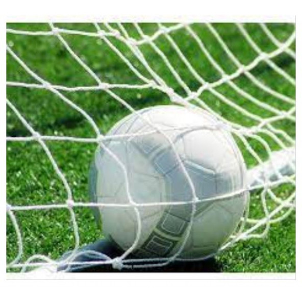 Okare Spor Halı Saha Futbol Kale Filesi 2x4x1m- 4mm Polipren ip - 4