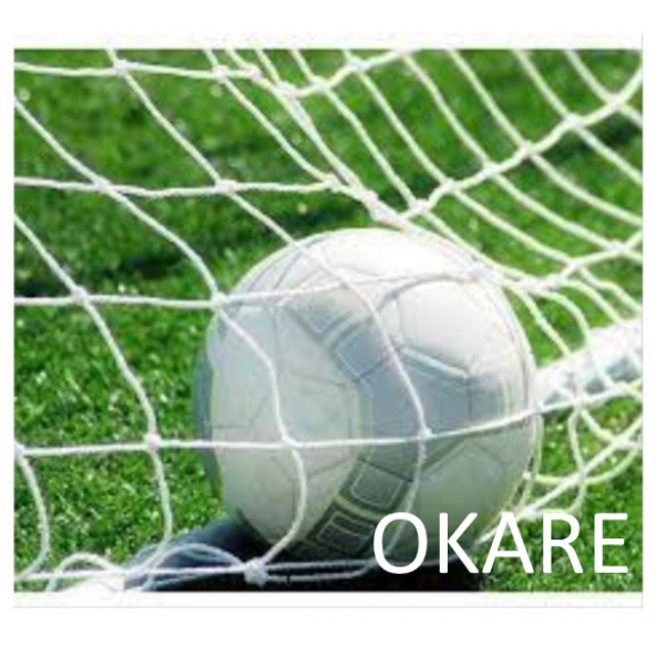 Okare Spor Halı Saha Futbol Kale Filesi 2x5x1m- 4 mm Polyester İp - 2