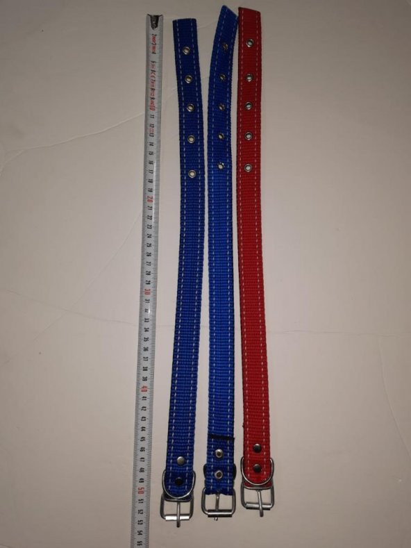 HAZ Astarlı Yumuşak Doku Köpek Boyun Tasma 2,5cm-52cm