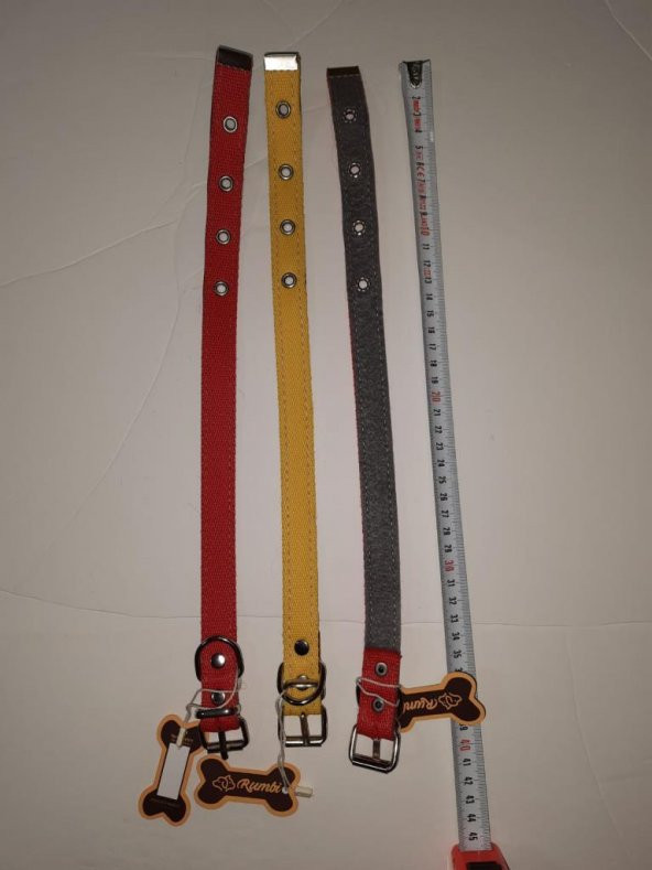 HAZ Astarlı Köpek Boyun Tasma 3cm-40cm