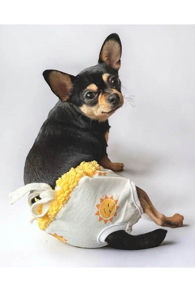 Soft Sun Köpek İç Çamaşırı, Regl Donu, Köpek Sızdırma Kilodu - 1