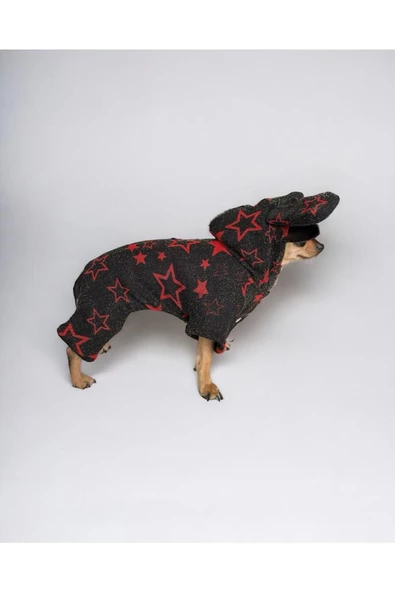 Yılbaşı Yıldızlı Köpek Kostümü, Noel Köpek Kıyafeti, Christmas - 3
