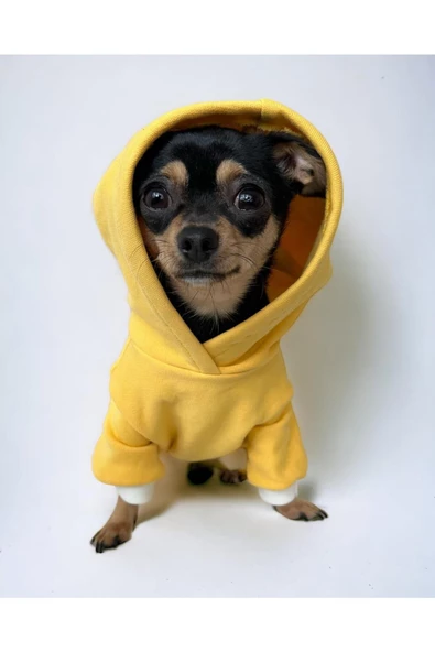 Yellow White Polar Köpek Tulumu Köpek Kazağı, Köpek Kıyafeti - 3