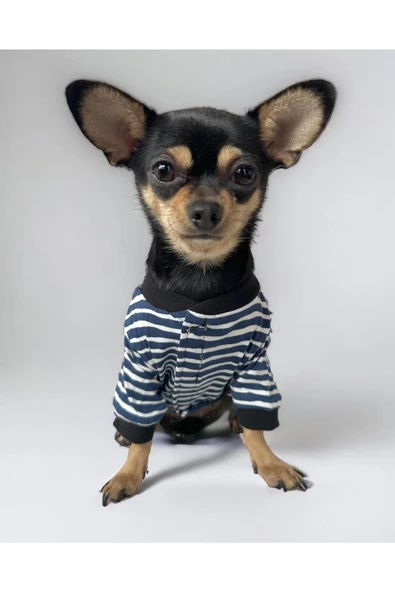 Spe Stripe Blue Köpek Tulumu, Köpek Kıyafeti - 3