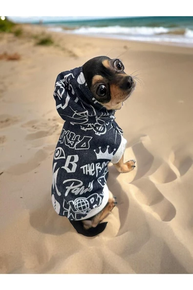Gansta Yazlık Köpek Kot Ceketi, Köpek Ceketi, Kot Ceket - 3