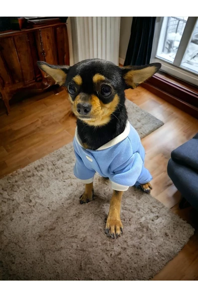 Blue Collage Köpek Ceketi, Köpek Kazağı, Köpek Kıyafeti - 3