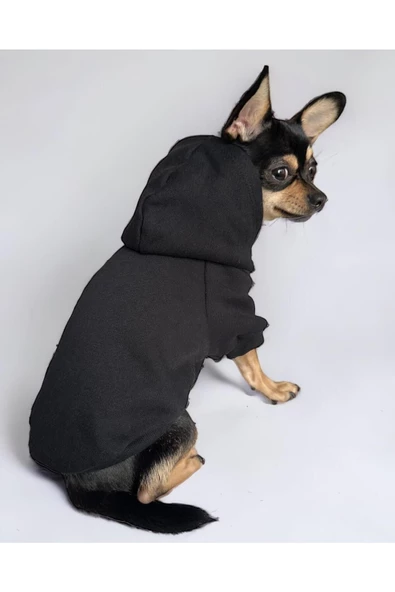 Black Köpek Sweatshirt, Hoodie, Köpek Kazağı, Köpek Kıyafeti - 1