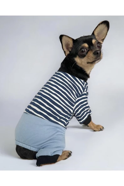 Spe Stripe Blue Köpek Tulumu, Köpek Kıyafeti - 1