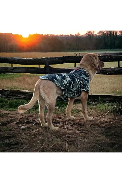 Kamuflaj Köpek Sweatshirt, Gerçek 3 Iplik 8-45 Kg Için, Hoodie, Orta Ve Büyük Irklar Için - 2
