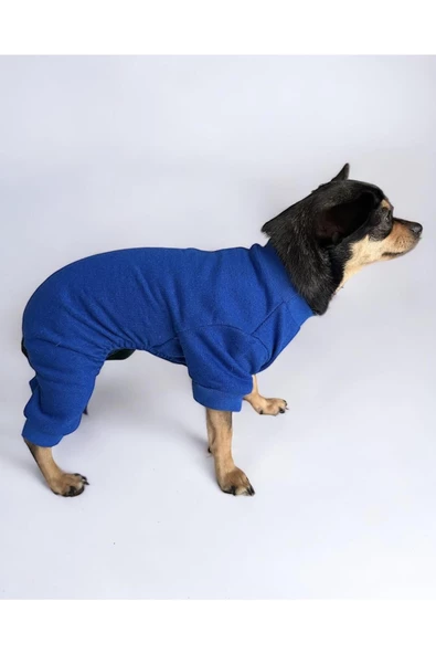 Blue Polar Köpek Tulumu Köpek Kazağı, Köpek Kıyafeti - 3