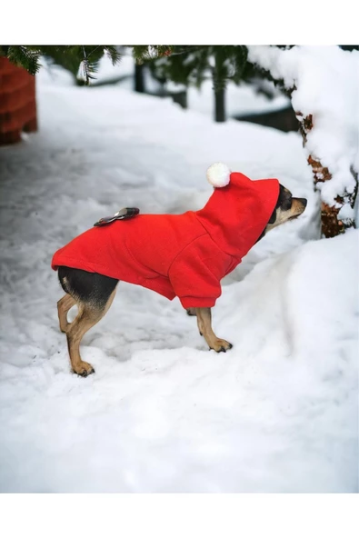 2024 Noel Gift, Hoodie, Yılbaşı Köpek Kazağı, Köpek Kıyafeti - 2