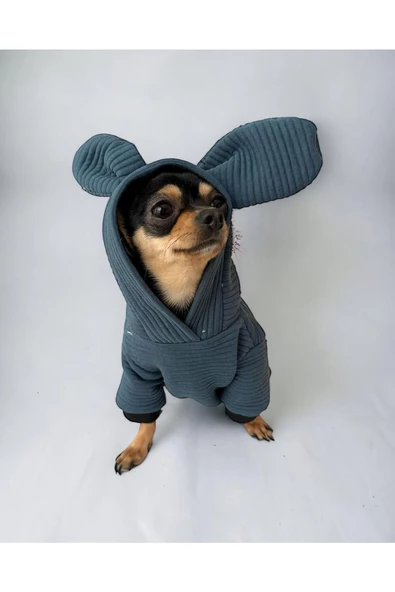 Winty Kulaklı Köpek Tulumu, Köpek Kıyafeti - 2