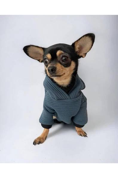 Winty Kulaklı Köpek Tulumu, Köpek Kıyafeti - 3