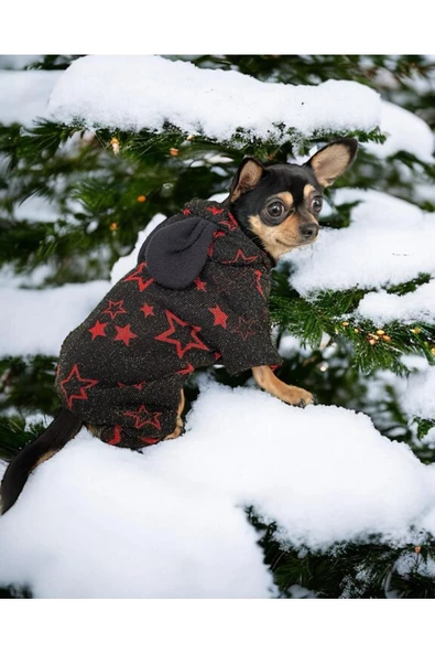 Yılbaşı Yıldızlı Köpek Kostümü, Noel Köpek Kıyafeti, Christmas - 1