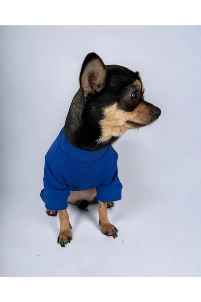 Blue Bear Polar Köpek Tulumu Köpek Kazağı, Köpek Kıyafeti - 4