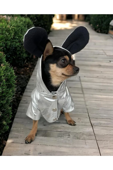 Gray Shine İçi Peluş Kulaklı Çıtçıtlı Köpek Montu, Köpek Tulumu