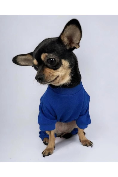 Blue Polar Köpek Tulumu Köpek Kazağı, Köpek Kıyafeti - 2