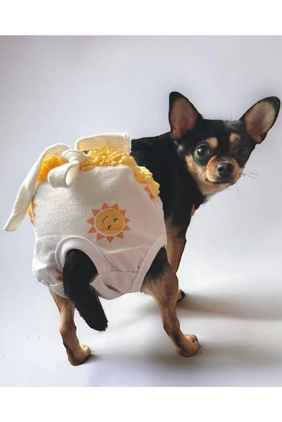 Soft Sun Köpek İç Çamaşırı, Regl Donu, Köpek Sızdırma Kilodu - 2