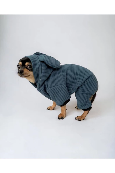 Winty Kulaklı Köpek Tulumu, Köpek Kıyafeti - 4