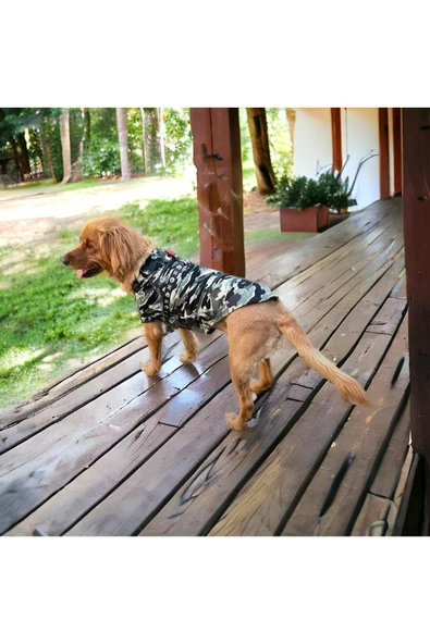 Kamuflaj Köpek Sweatshirt, Gerçek 3 Iplik 8-45 Kg Için, Hoodie, Orta Ve Büyük Irklar Için - 1