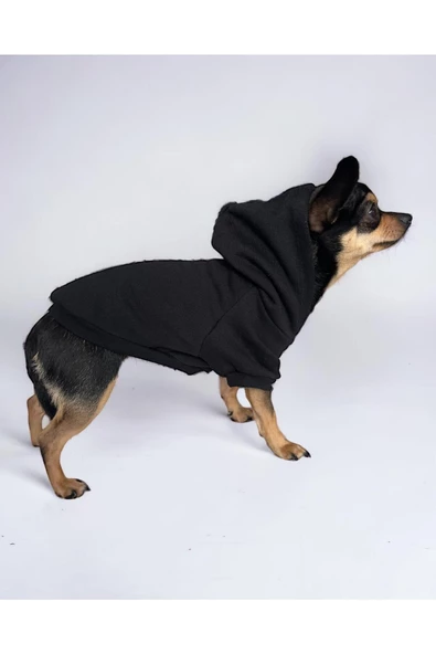 Black Köpek Sweatshirt, Hoodie, Köpek Kazağı, Köpek Kıyafeti - 2