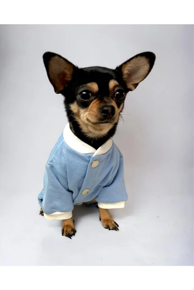 BabeBlue Çıtçıtlı Köpek Tulumu, Köpek Kıyafeti